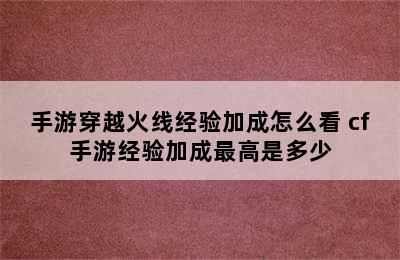 手游穿越火线经验加成怎么看 cf手游经验加成最高是多少